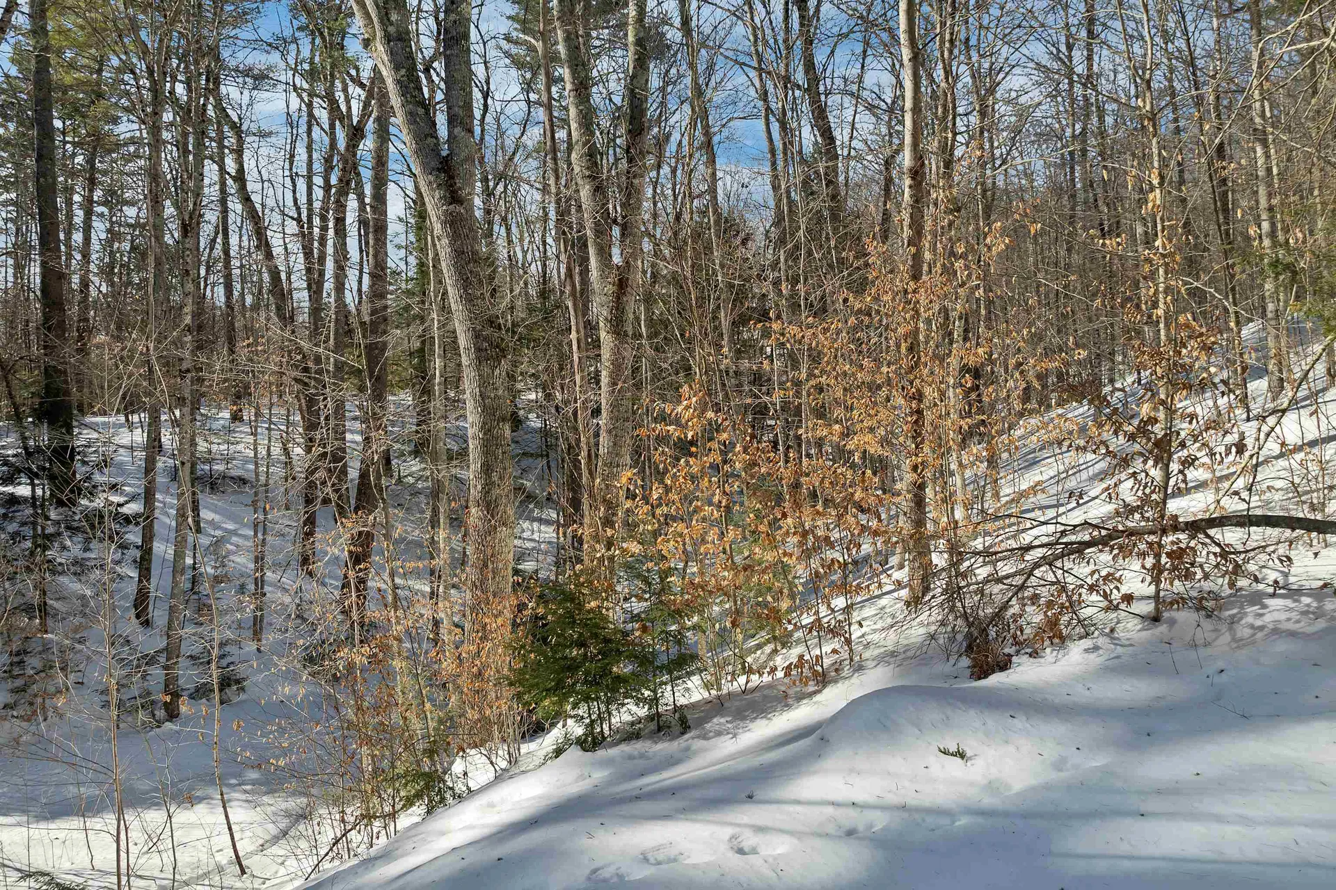 13-1 Page Road Campton NH 03223