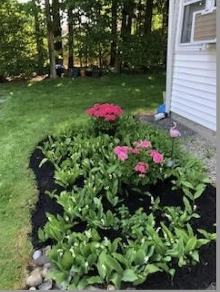 36 Beauview Avenue Nashua NH 03064