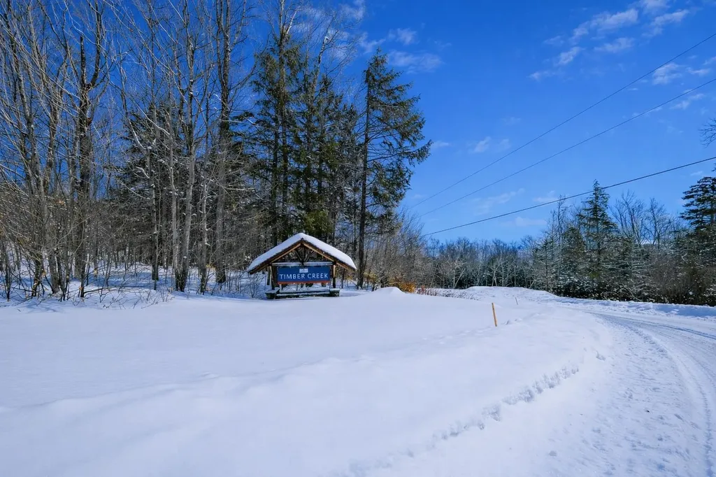 Lot 1 Timber Creek Road Ludlow VT 05149