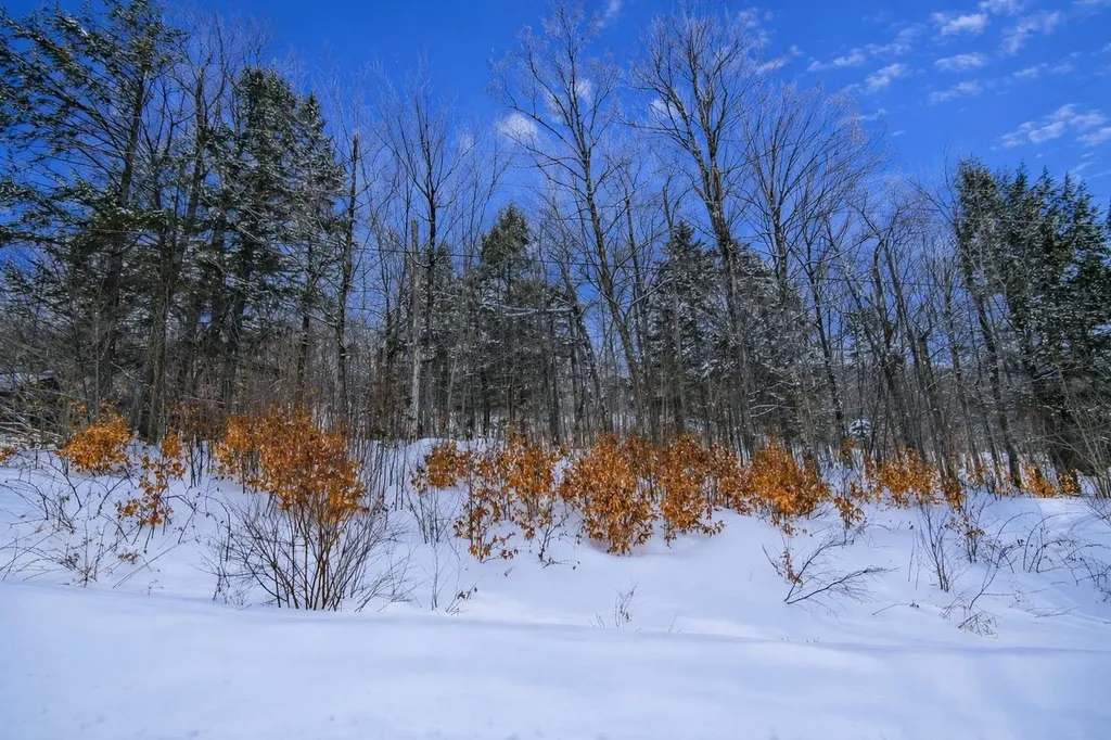 Lot 1 Timber Creek Road Ludlow VT 05149