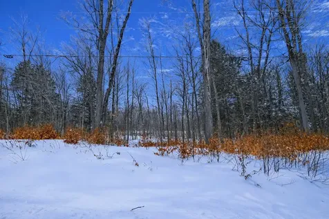 Lot 1 Timber Creek Road Ludlow VT 05149