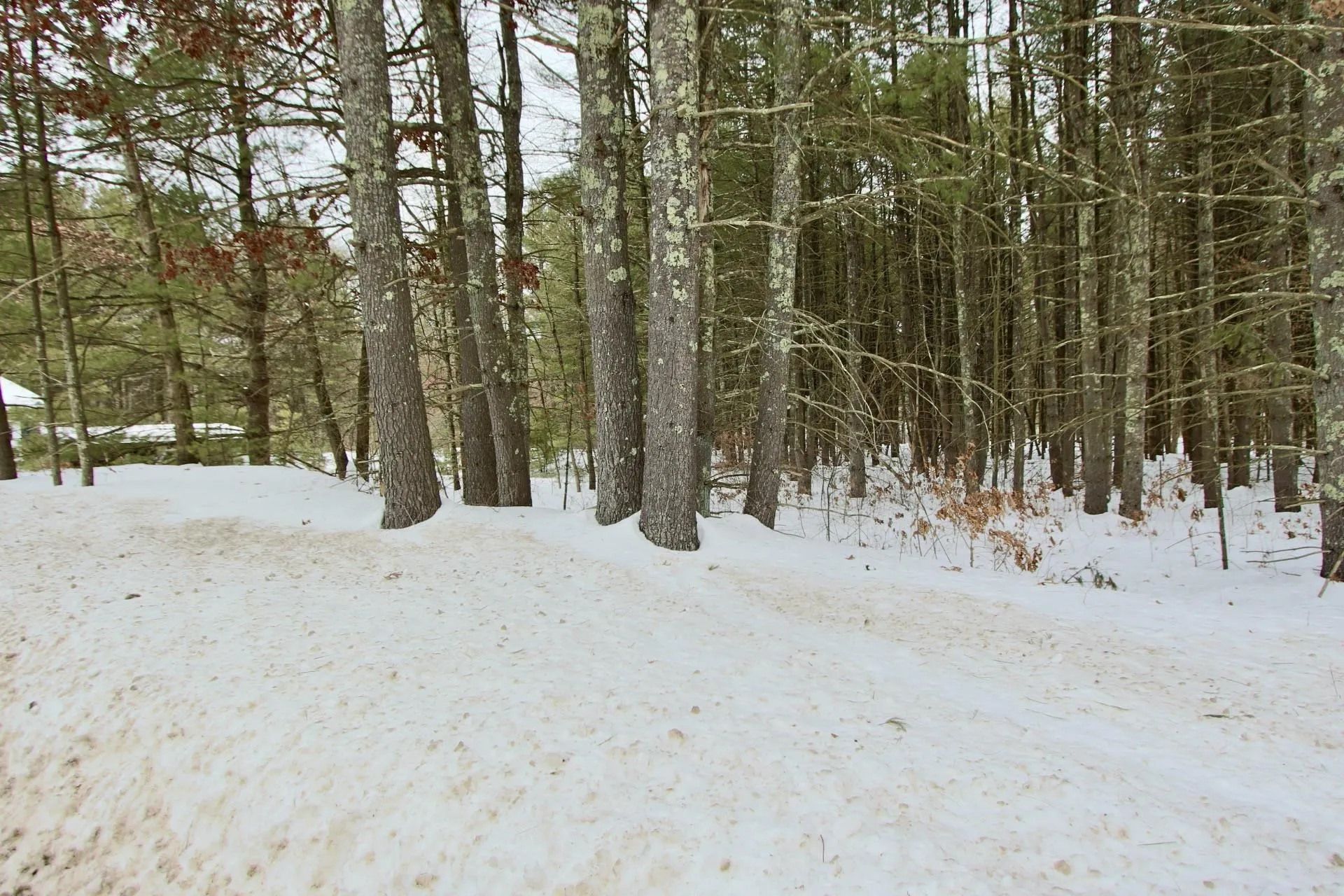 101 Page Road Litchfield NH 03052