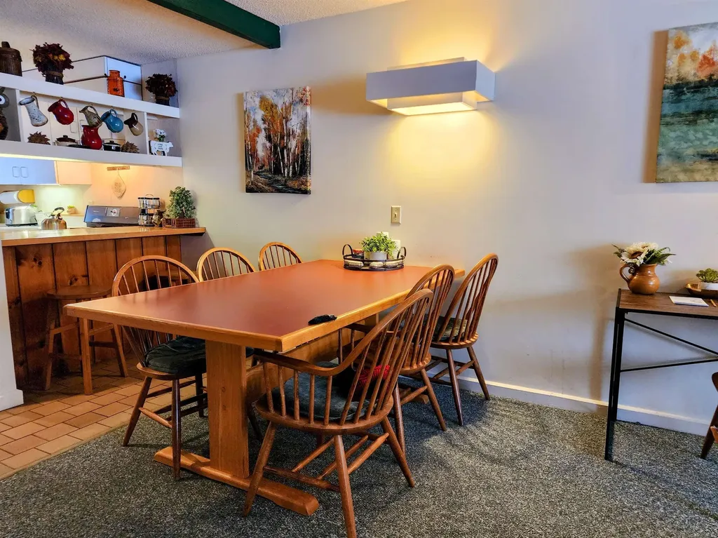 185 Village Green Drive Stowe VT 05672