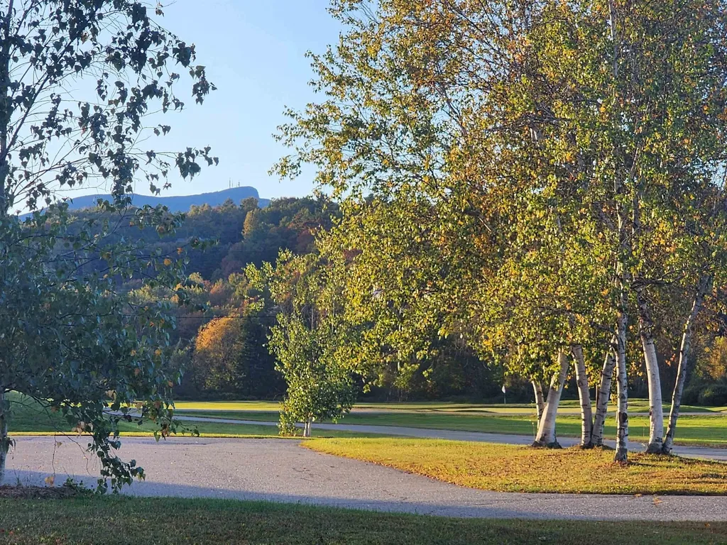 185 Village Green Drive Stowe VT 05672