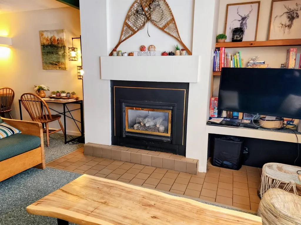 185 Village Green Drive Stowe VT 05672