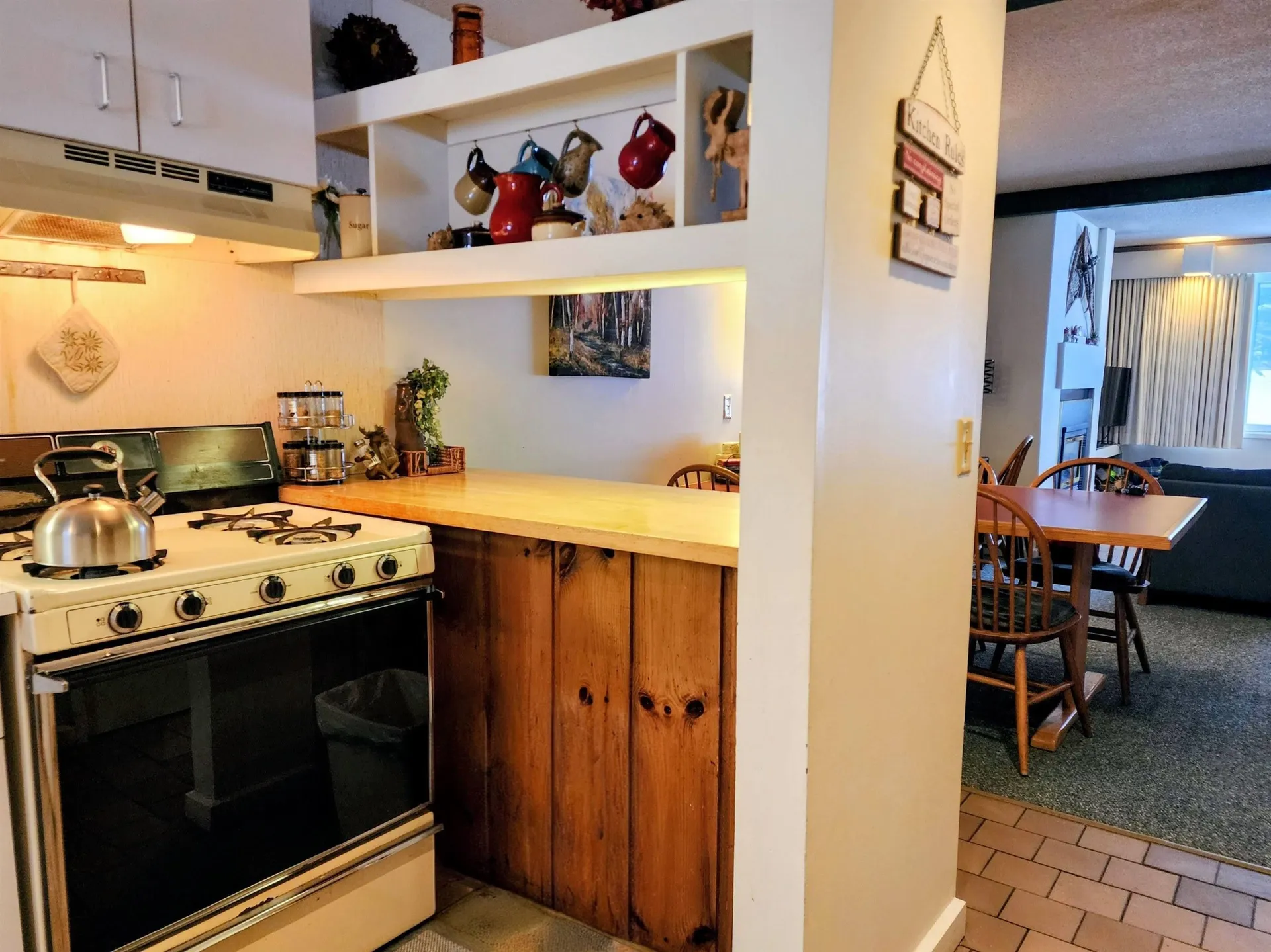 185 Village Green Drive Stowe VT 05672