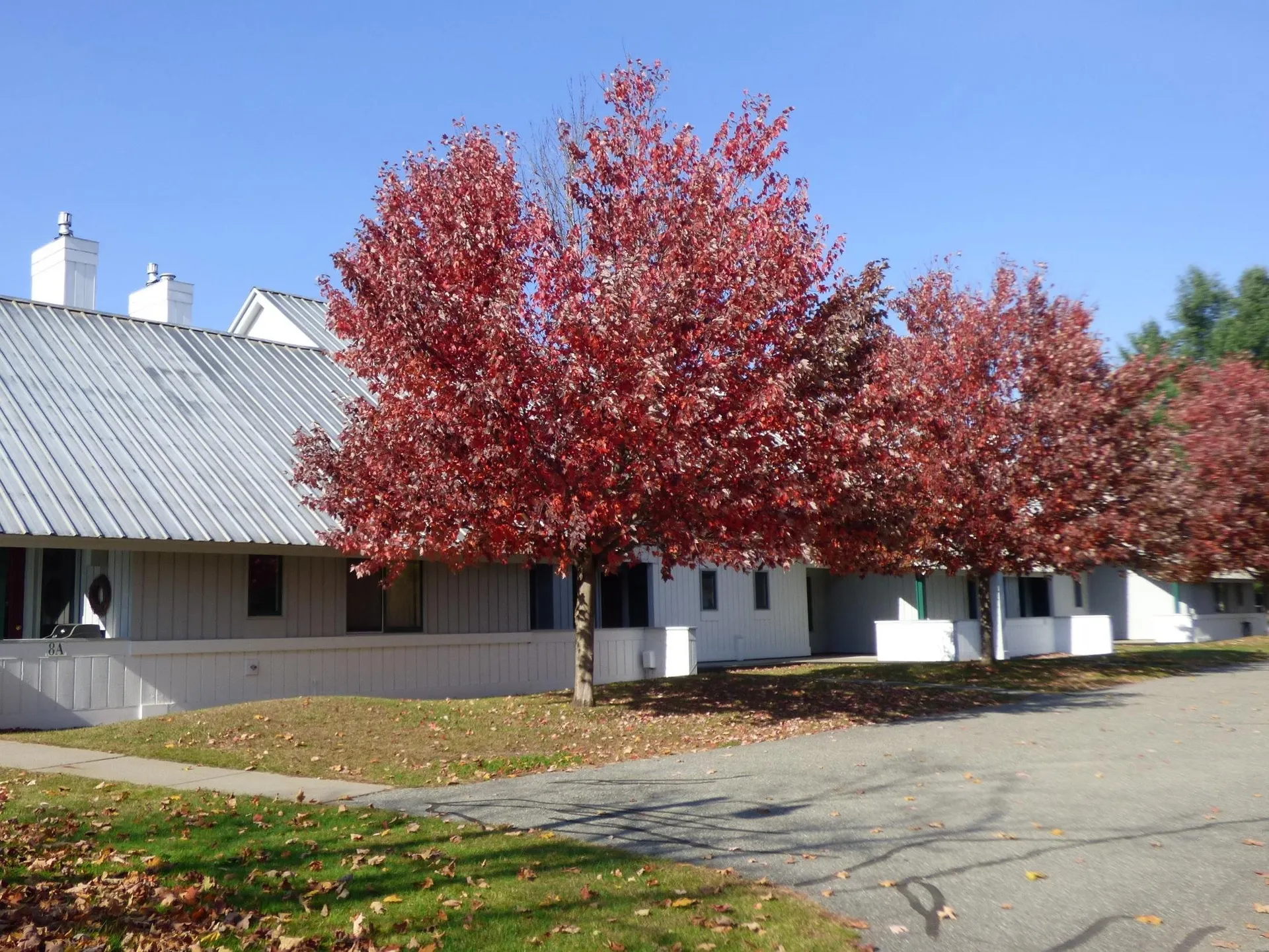 185 Village Green Drive Stowe VT 05672