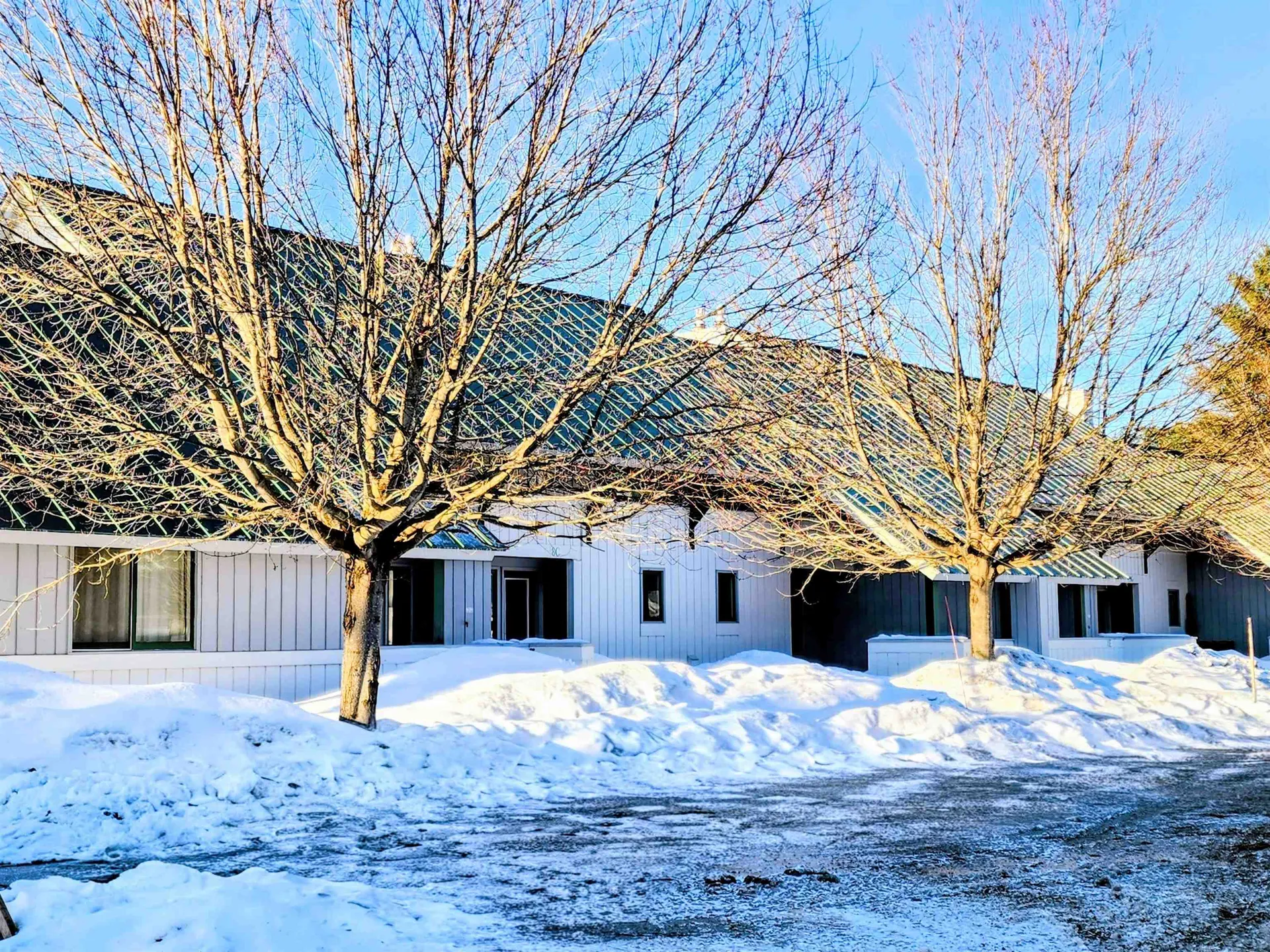 185 Village Green Drive Stowe VT 05672