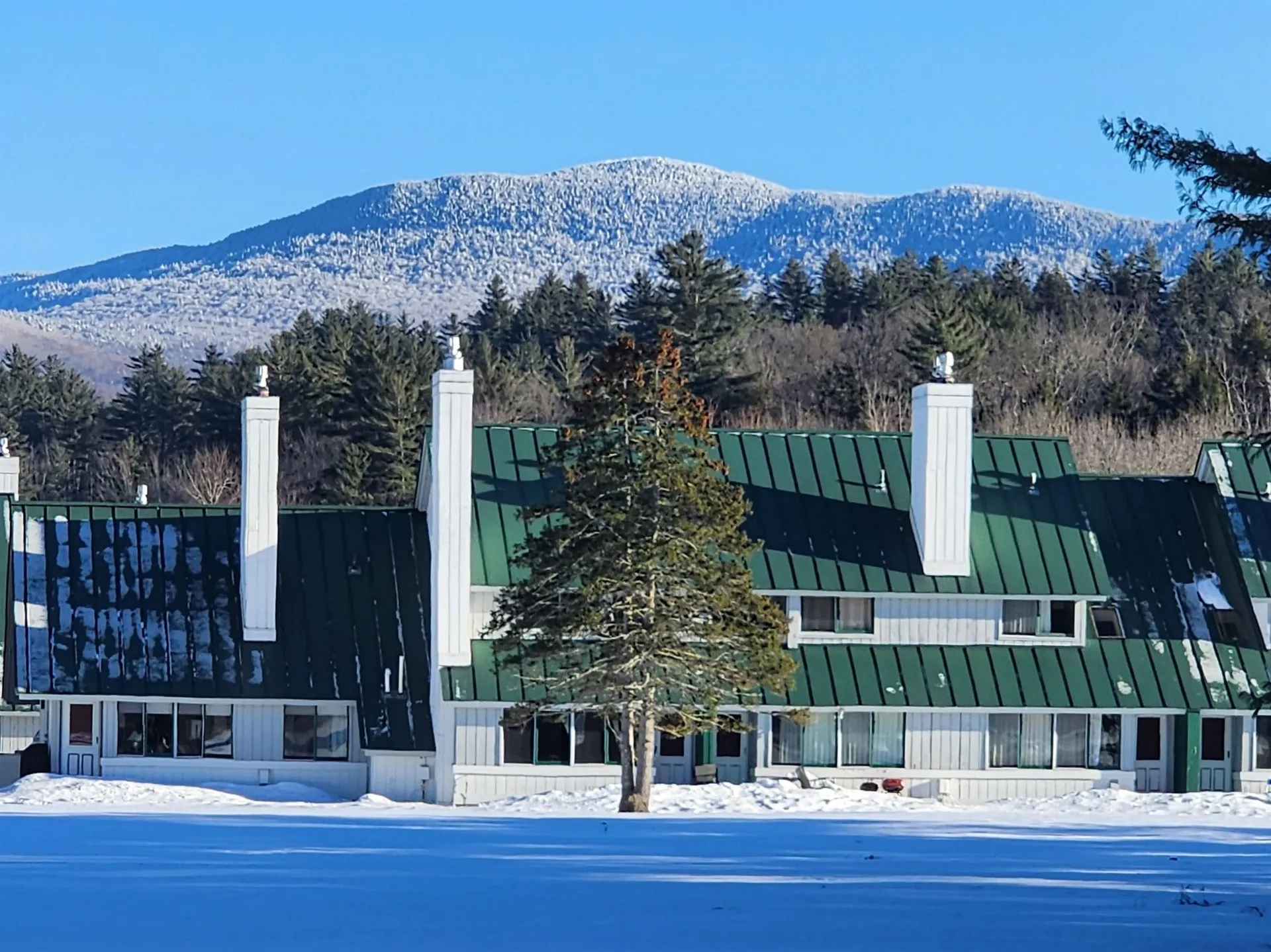185 Village Green Drive Stowe VT 05672
