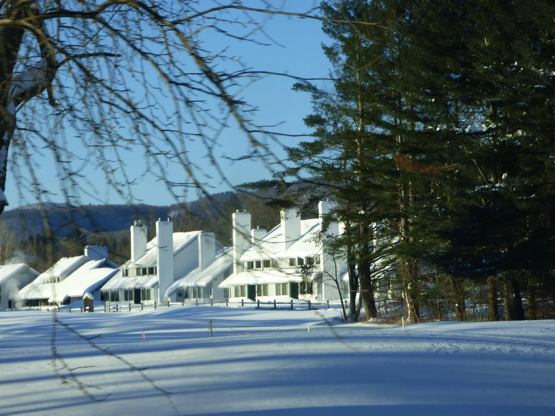 185 Village Green Drive Stowe VT 05672