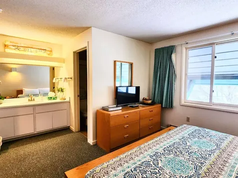 185 Village Green Drive Stowe VT 05672