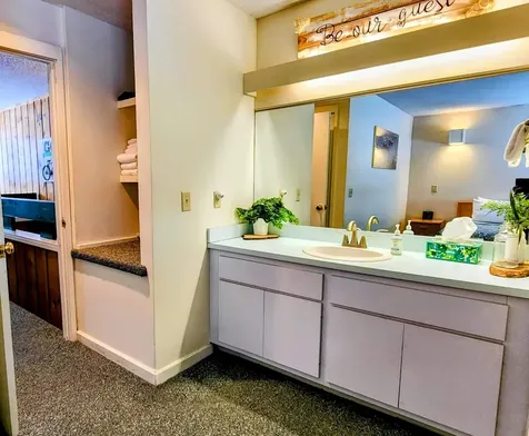 185 Village Green Drive Stowe VT 05672