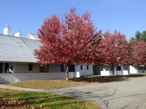 185 Village Green Drive Stowe VT 05672