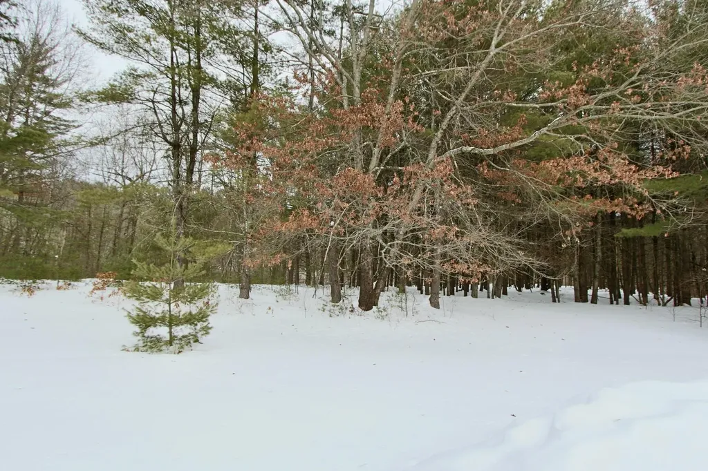 101 Page Road Litchfield NH 03052