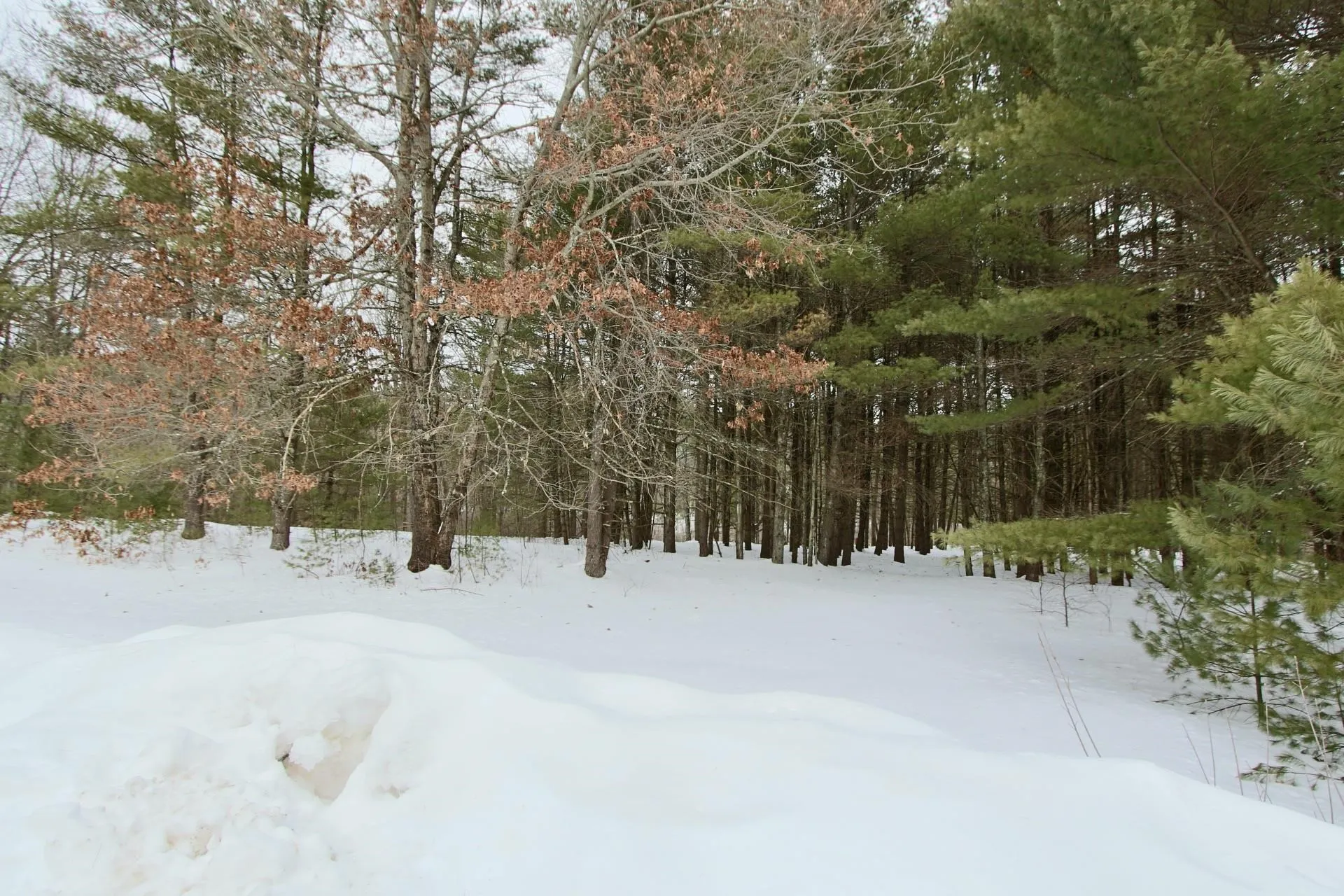 101 Page Road Litchfield NH 03052