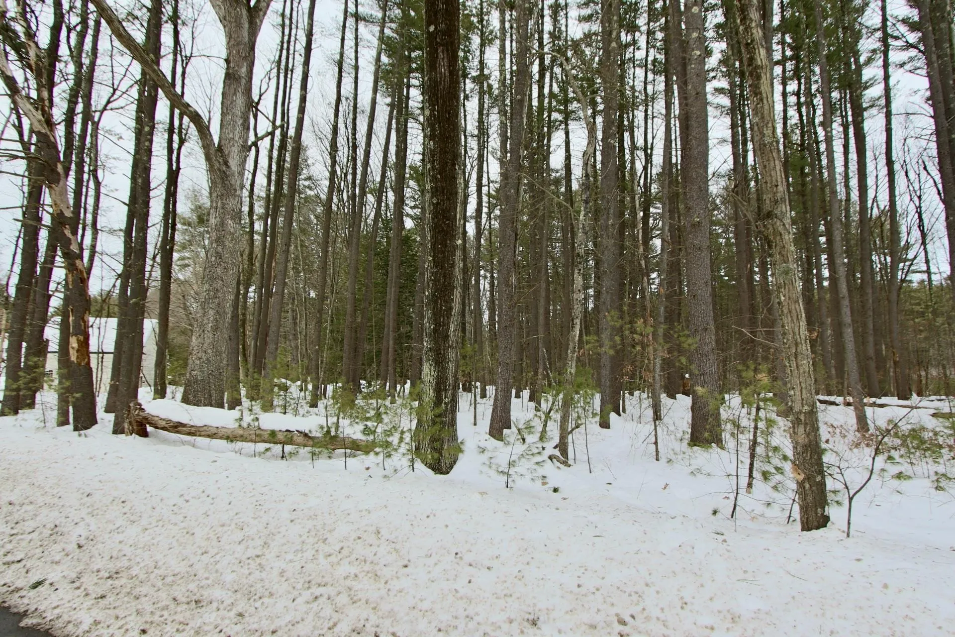 101 Page Road Litchfield NH 03052