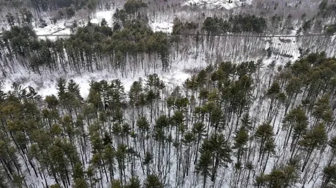 101 Page Road Litchfield NH 03052