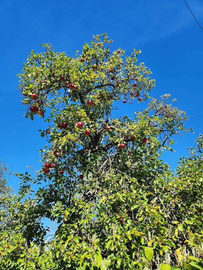 766 Swamp Road Fairfield VT 05455