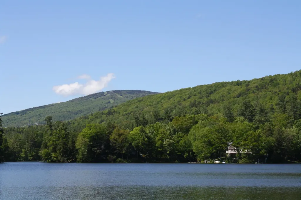 879 East Ash Road Plymouth VT 05056