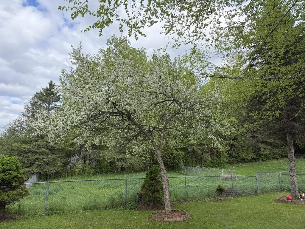 3724 Vt Route 105 Road Derby VT 05829