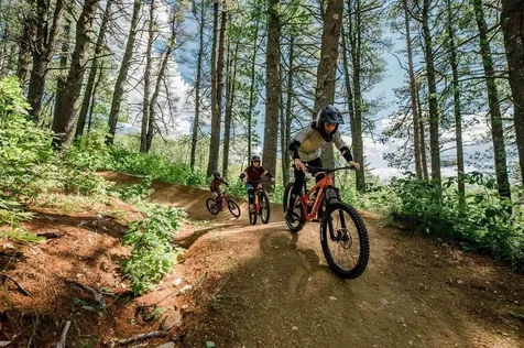 235 Skimobile Road Conway NH 03860