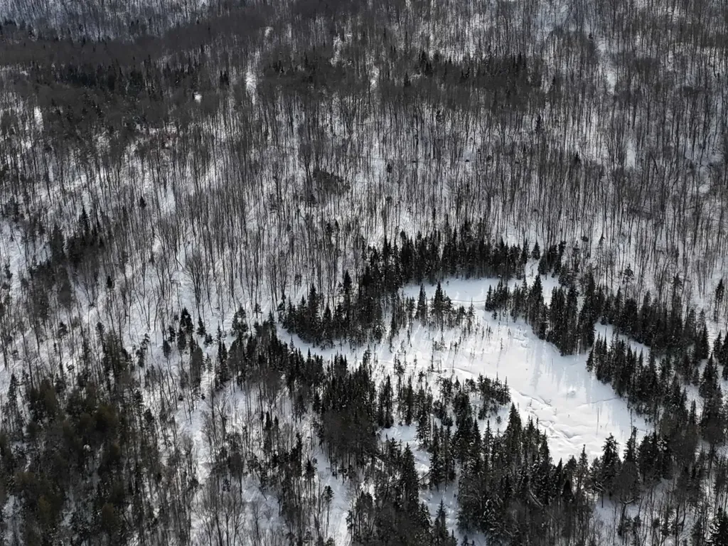 Stannard Mountain Road Wheelock VT 05851