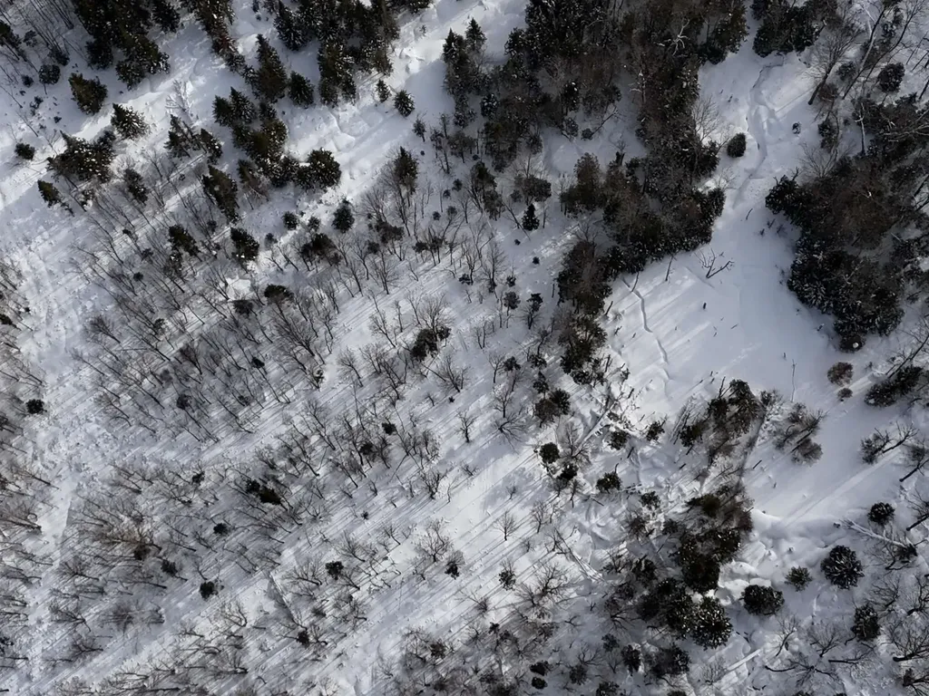 Stannard Mountain Road Wheelock VT 05851