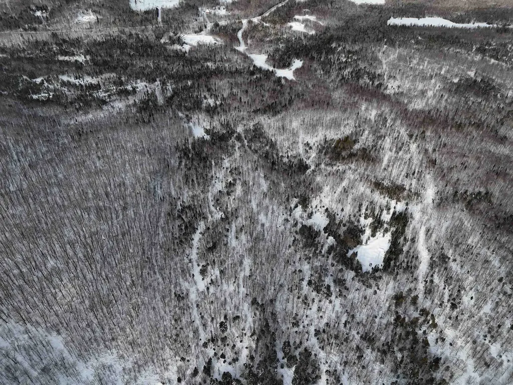 Stannard Mountain Road Wheelock VT 05851