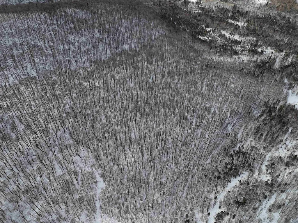 Stannard Mountain Road Wheelock VT 05851