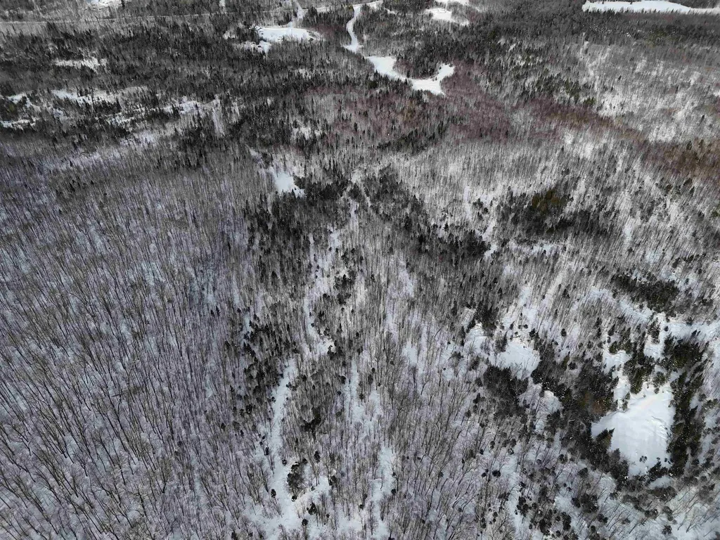 Stannard Mountain Road Wheelock VT 05851