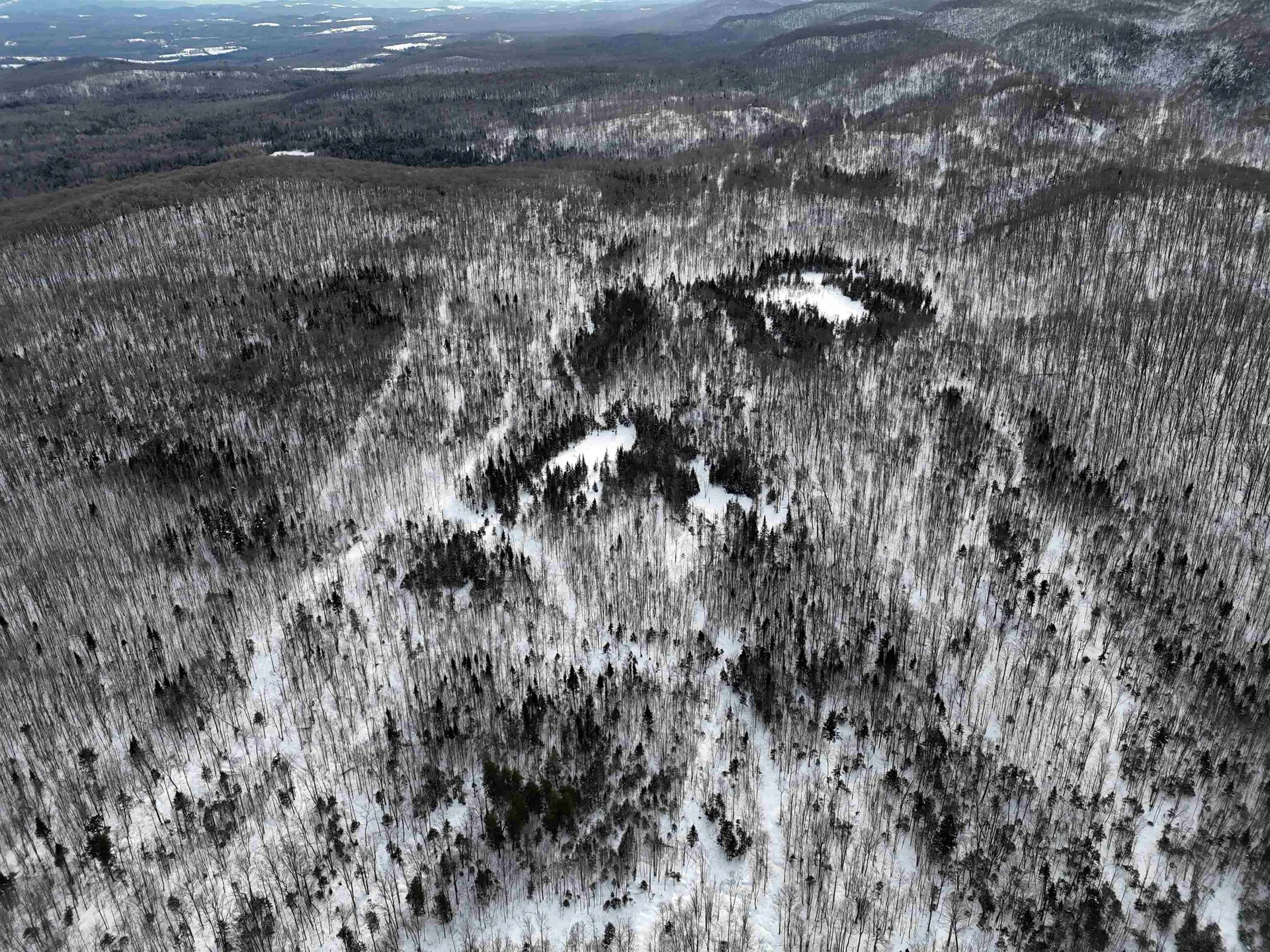 Stannard Mountain Road Wheelock VT 05851