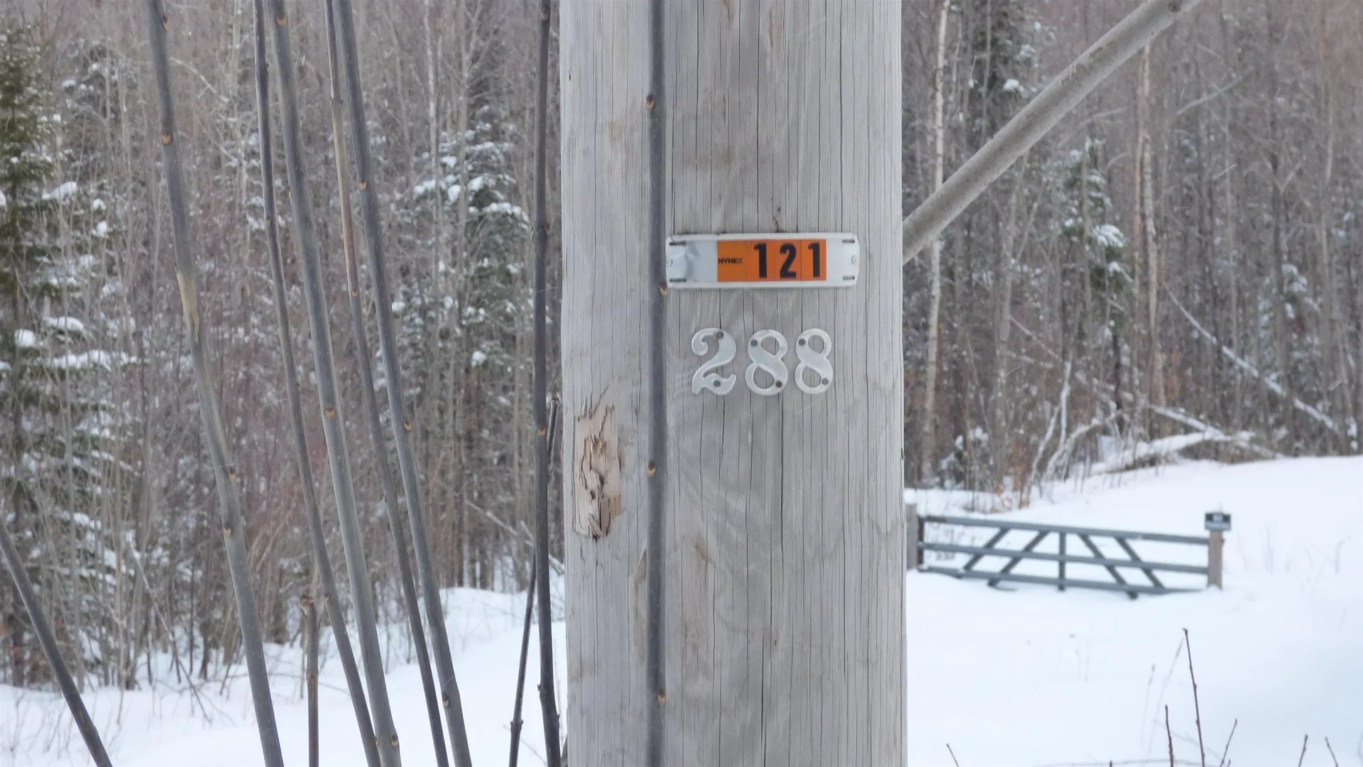 Stannard Mountain Road Wheelock VT 05851