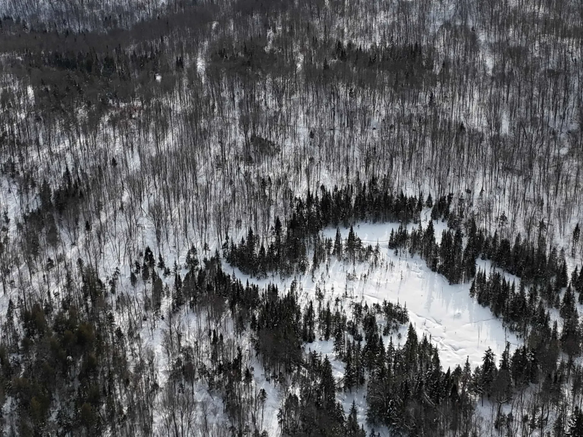 Stannard Mountain Road Wheelock VT 05851