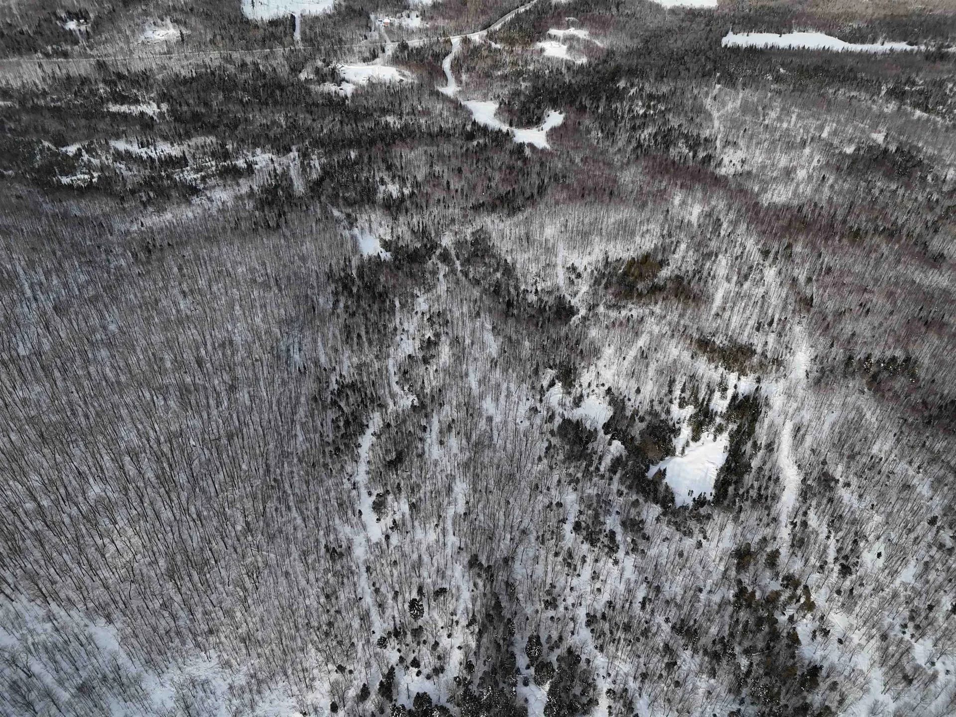 Stannard Mountain Road Wheelock VT 05851