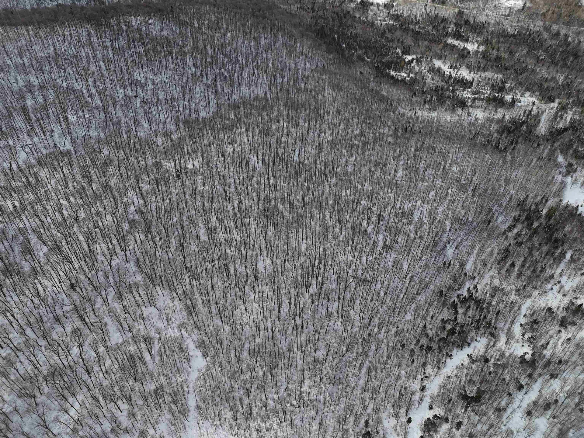 Stannard Mountain Road Wheelock VT 05851