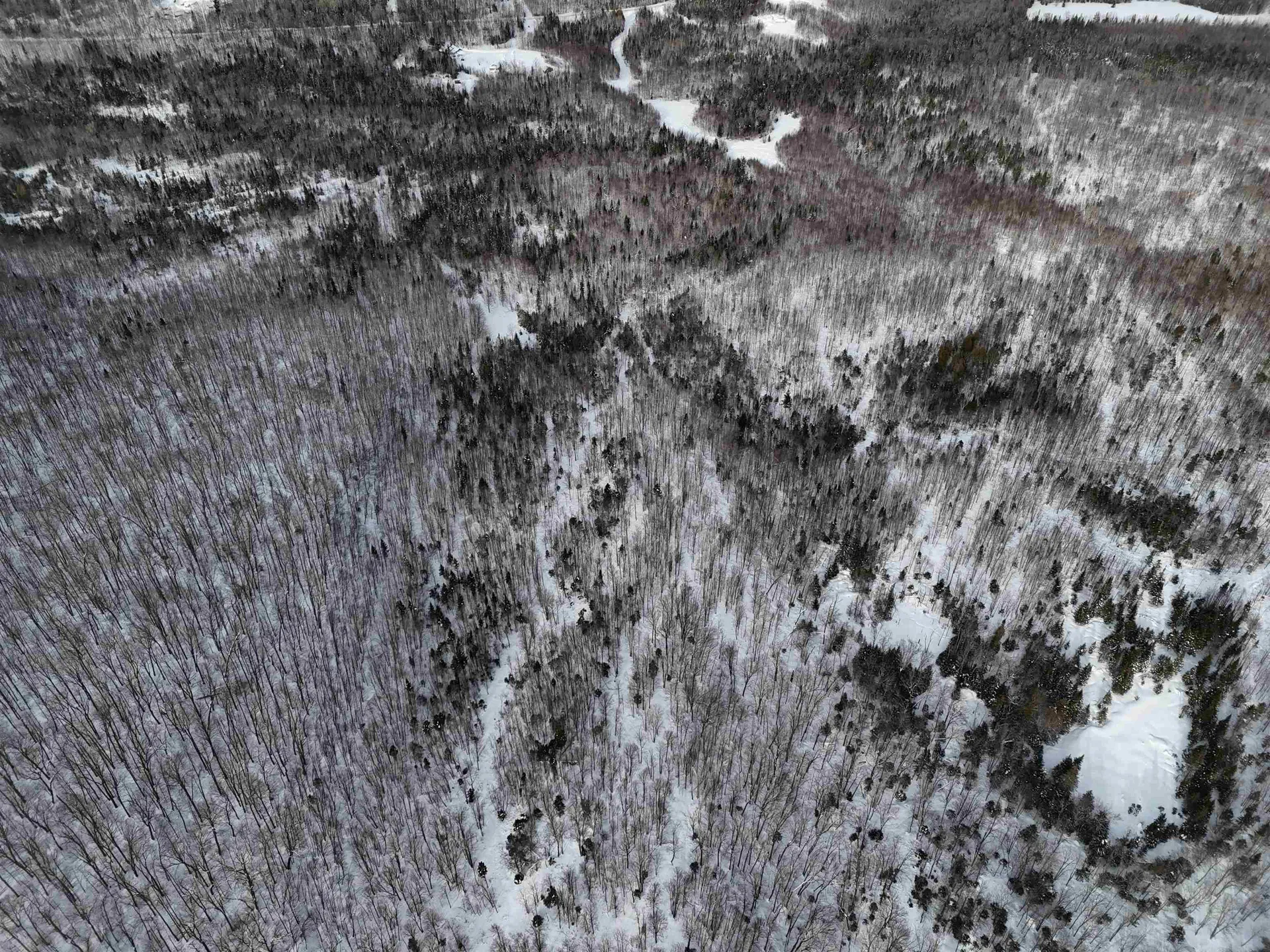 Stannard Mountain Road Wheelock VT 05851