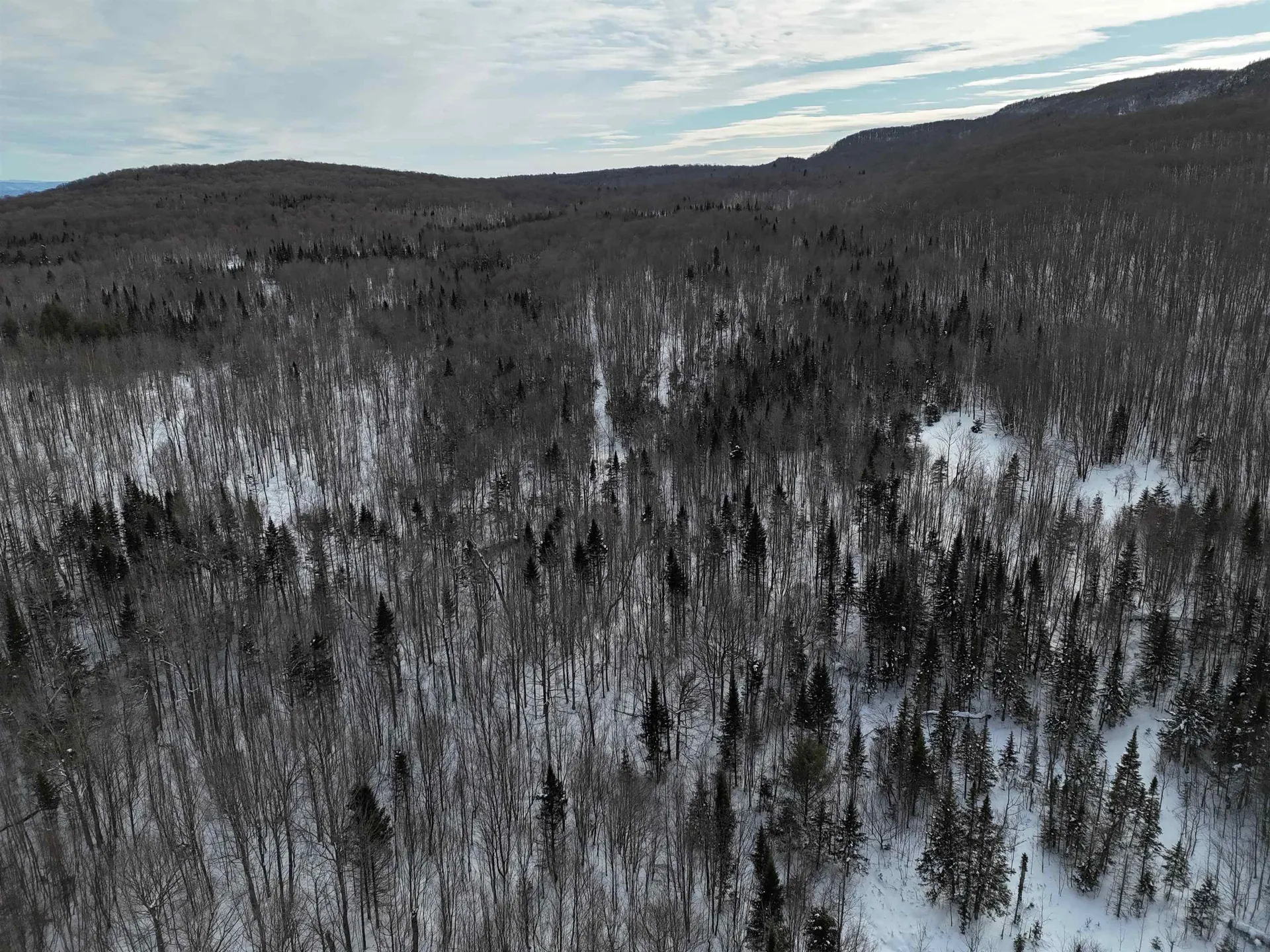Stannard Mountain Road Wheelock VT 05851