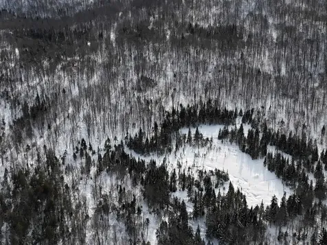 Stannard Mountain Road Wheelock VT 05851