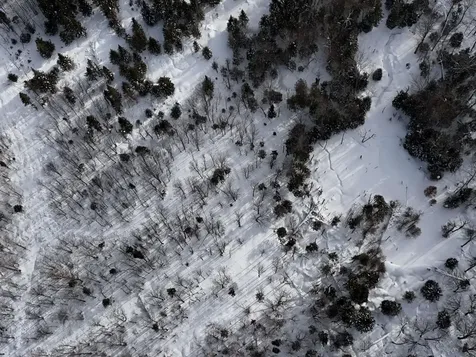 Stannard Mountain Road Wheelock VT 05851