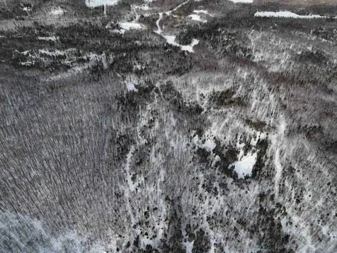 Stannard Mountain Road Wheelock VT 05851