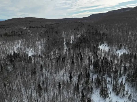 Stannard Mountain Road Wheelock VT 05851