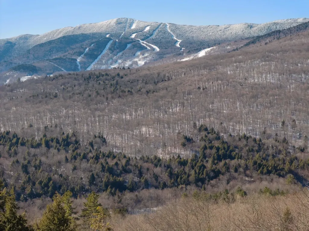 84 Old Mansfield Road Fayston VT 05673