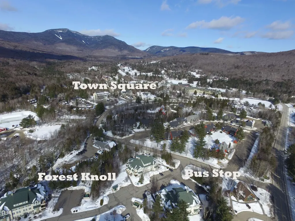 42 Forest Knoll Way Waterville Valley NH 03215