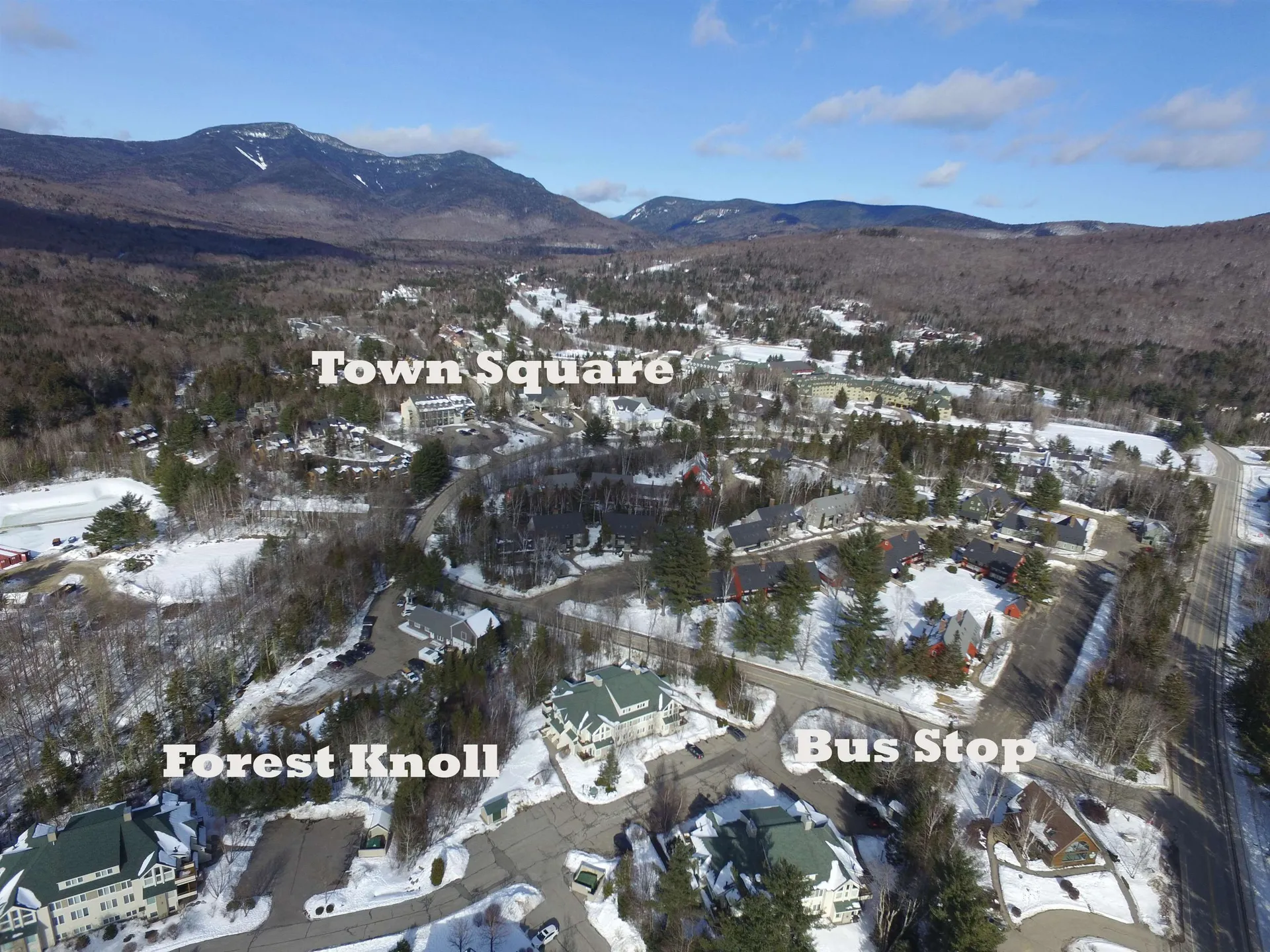 42 Forest Knoll Way Waterville Valley NH 03215
