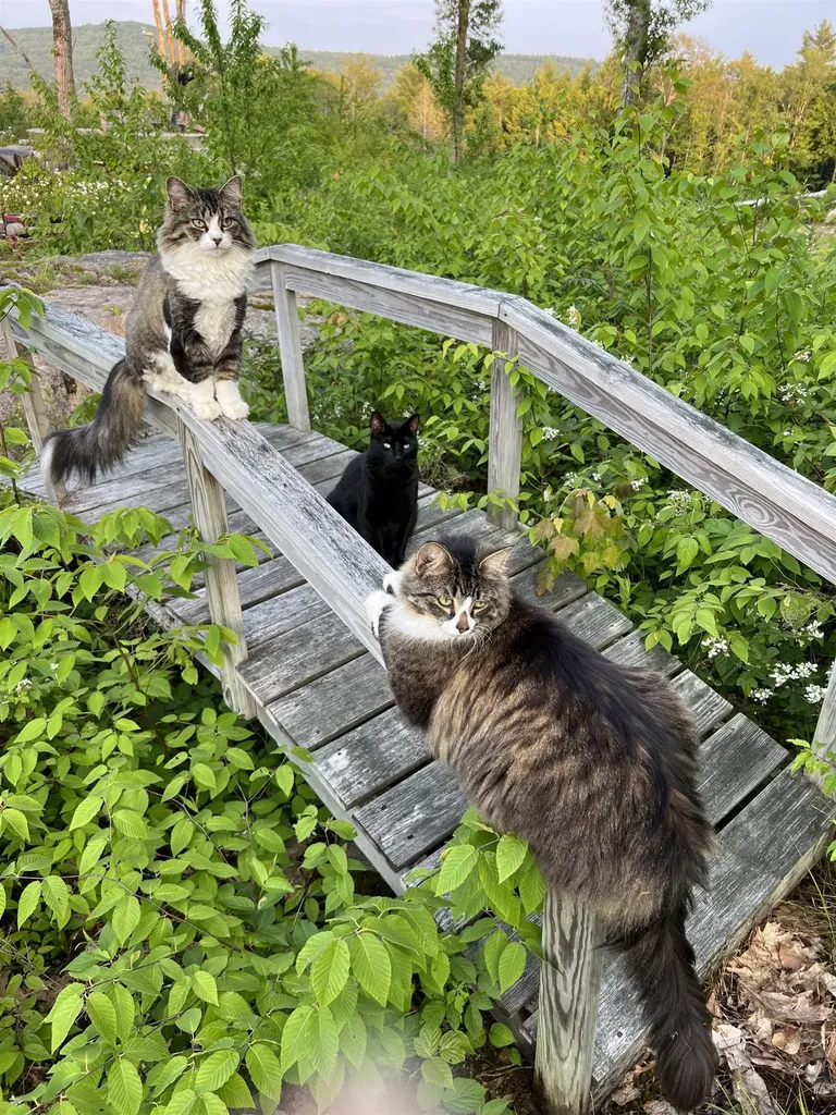 161 Concord Road Keene NH 03431