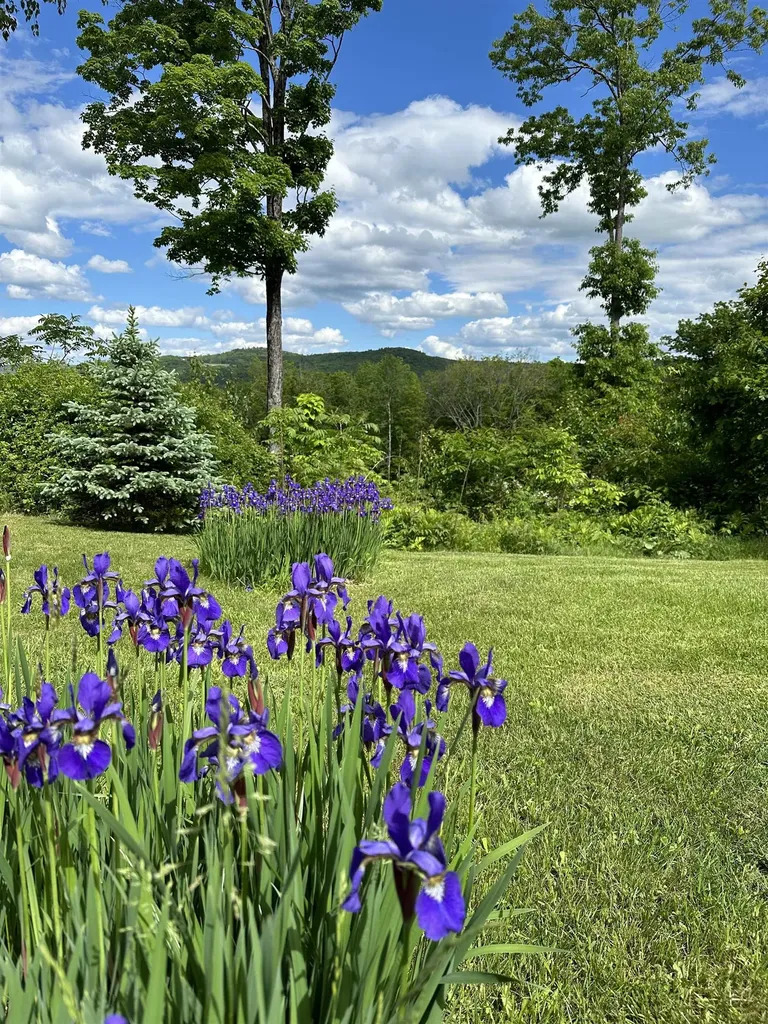 161 Concord Road Keene NH 03431