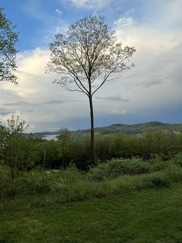 161 Concord Road Keene NH 03431