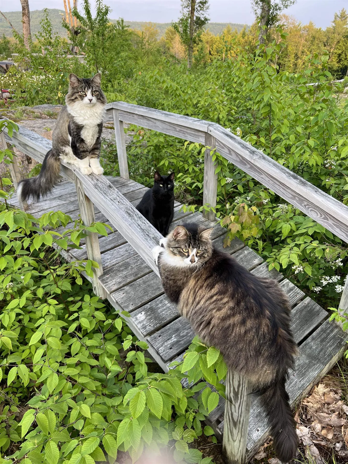 161 Concord Road Keene NH 03431