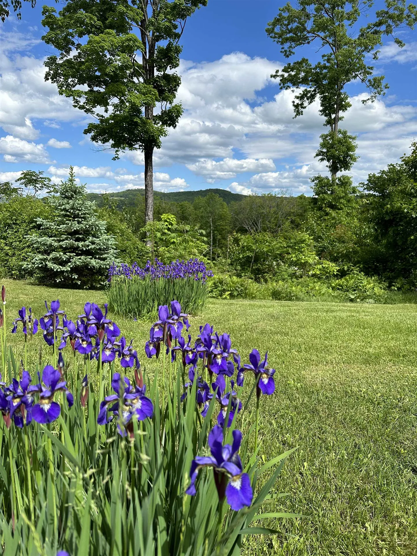 161 Concord Road Keene NH 03431