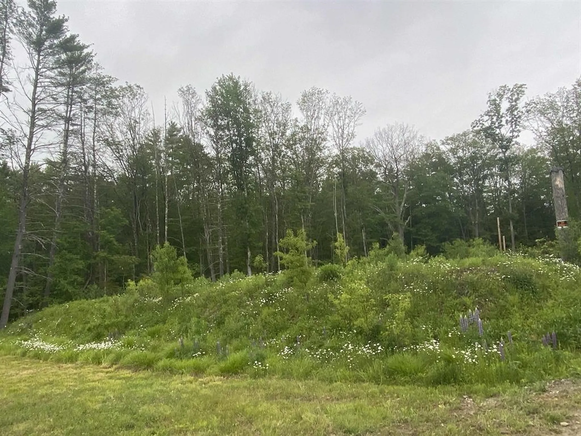 161 Concord Road Keene NH 03431